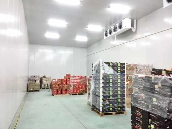 Apa Itu Cold Storage Monitoring System?